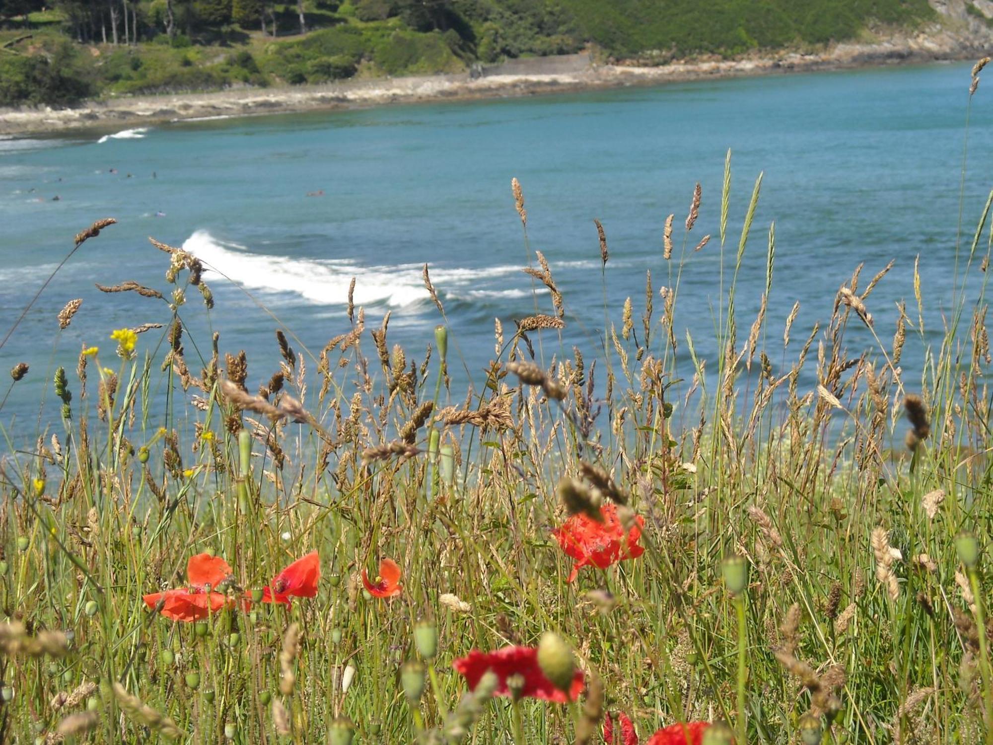 L'Escale Evel Er Ger Bed and Breakfast Locquirec Εξωτερικό φωτογραφία
