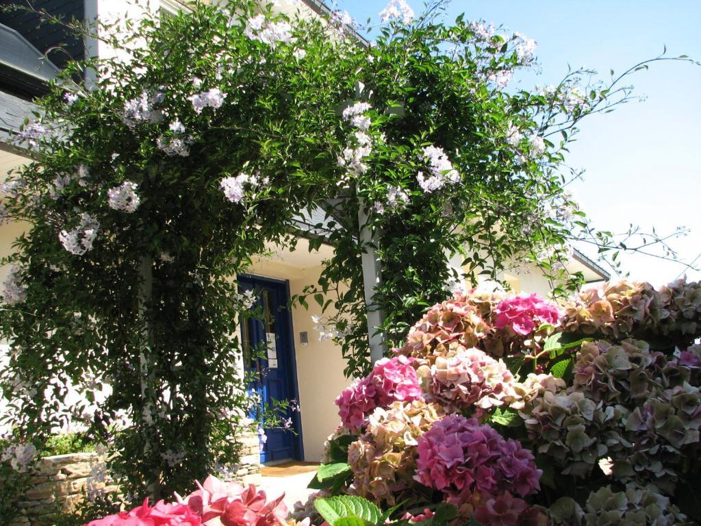 L'Escale Evel Er Ger Bed and Breakfast Locquirec Εξωτερικό φωτογραφία